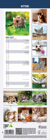 Kittens Slim Wall Calendar 2027