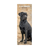 Black Labrador Slim Wall Calendar 2027