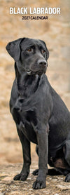 Black Labrador Slim Wall Calendar 2027