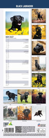 Black Labrador Slim Wall Calendar 2027