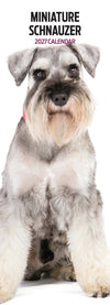 Miniature Schnauzer Slim Wall Calendar 2027