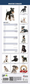 Miniature Schnauzer Slim Wall Calendar 2027