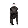 Pug Slim Wall Calendar 2027