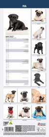 Pug Slim Wall Calendar 2027