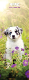 Puppies Slim Wall Calendar 2027