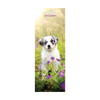 Puppies Slim Wall Calendar 2027