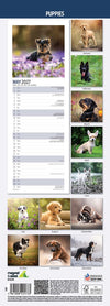 Puppies Slim Wall Calendar 2027