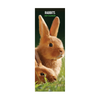 Rabbits Slim Wall Calendar 2027