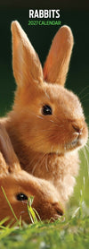 Rabbits Slim Wall Calendar 2027