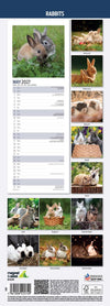 Rabbits Slim Wall Calendar 2027