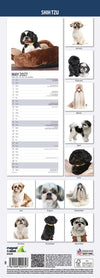 Shih Tzu Slim Wall Calendar 2027