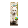 West Highland Terrier Slim Wall Calendar 2027