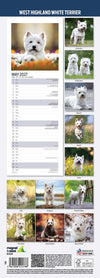 West Highland Terrier Slim Wall Calendar 2027