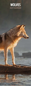 Wolves Slim Wall Calendar 2027