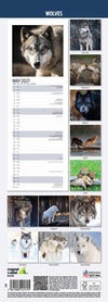 Wolves Slim Wall Calendar 2027