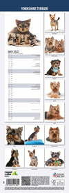 Yorkshire Terrier Slim Wall Calendar 2027
