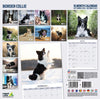 Border Collie Traditional Wall Calendar 2027
