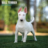 Bull Terrier Traditional Wall Calendar 2027