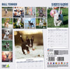 Bull Terrier Traditional Wall Calendar 2027
