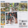 Bulldog Traditional Wall Calendar 2027
