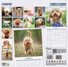 Cavapoo Traditional Wall Calendar 2027