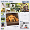 Cocker Spaniel Puppies Traditional Wall Calendar 2027