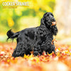 Cocker Spaniel Traditional Wall Calendar 2027