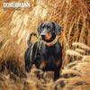 Doberman Traditional Wall Calendar 2027