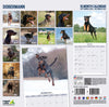 Doberman Traditional Wall Calendar 2027