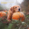 Golden Retriever Traditional Wall Calendar 2027