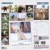 Labradoodle Traditional Wall Calendar 2027