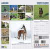 Lurcher Traditional Wall Calendar 2027