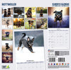 Rottweiler Traditional Wall Calendar 2027