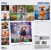 Vizsla Traditional Wall Calendar 2027