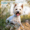 West Highland Traditional Wall Calendar 2027