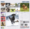 Poodle Traditional Wall Calendar 2027