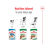Royal Canin Mini Ageing in Gravy Pouch 85g