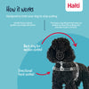Halti Train - Harness - Front Control