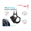 Halti Anatomy Harness - Puppy