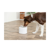 Aqua Pure Drinking Fountain - with Stainless Steel Drinking Bowl - White