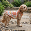 Wiggle & Wander - Dog Vest - Salmon