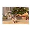 Trixie Christmas Dog Treat - Xmas Lollipop Mix - 1 Piece