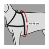 Lead 'n' Walk Soft Harness