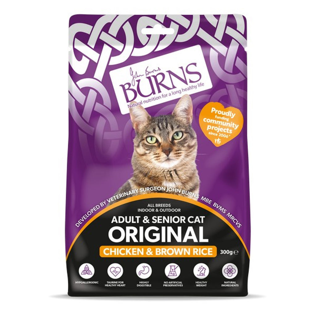Burns kitten best sale food