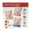 Christmas Cupid & Comet Dinner Stocking - Dog