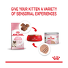Royal Canin Mother & Baby Cat - Ultra Soft Mousse