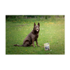 Flamingo Mono Protein - Hapki Dog Treat  - Pure Deer & Rice Bites