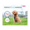 Halti Anatomy Harness - Puppy