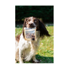 Flamingo Mono Protein - Hapki Dog Treat  - Pure Goose Slices