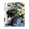 Cupid & Comet Christmas - Festive Meaty - Chicken Stars